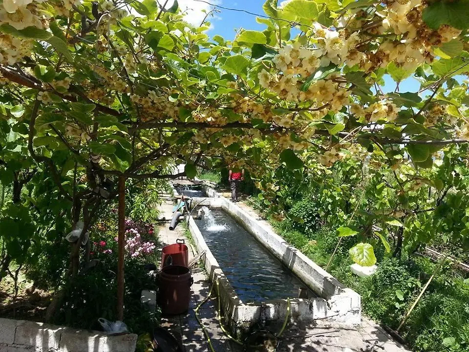 Bar Restorant Hotel Erjoni Pogradec
